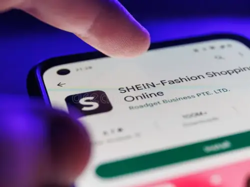 Shein Super Job Offer